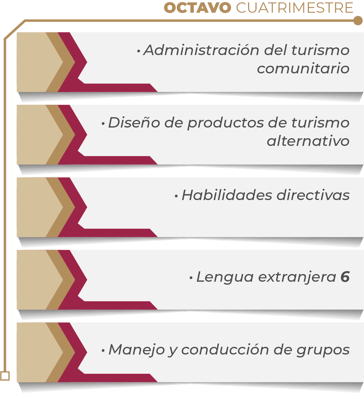 MAPA CURRICULAR SOFTWARE
